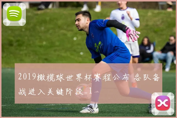 2019橄榄球世界杯赛程公布 各队备战进入关键阶段_1