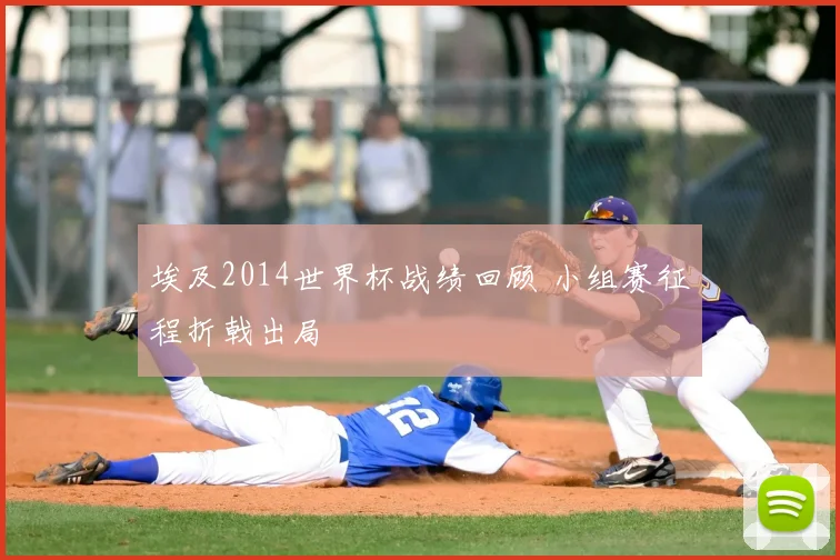 埃及2014世界杯战绩回顾 小组赛征程折戟出局