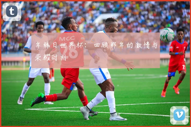 年韩日世界杯:回顾那年的激情与荣耀时刻
