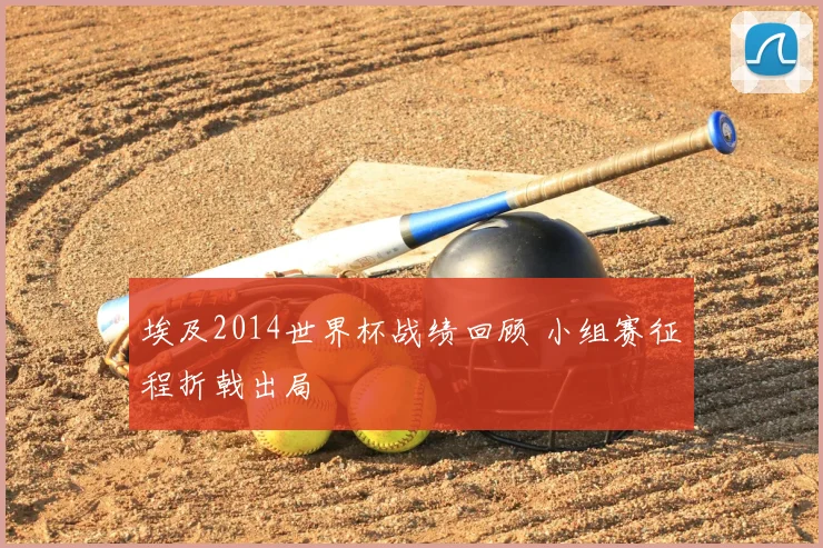 埃及2014世界杯战绩回顾 小组赛征程折戟出局