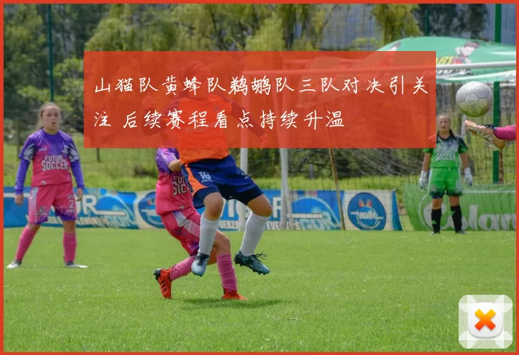 山猫队黄蜂队鹈鹕队三队对决引关注 后续赛程看点持续升温